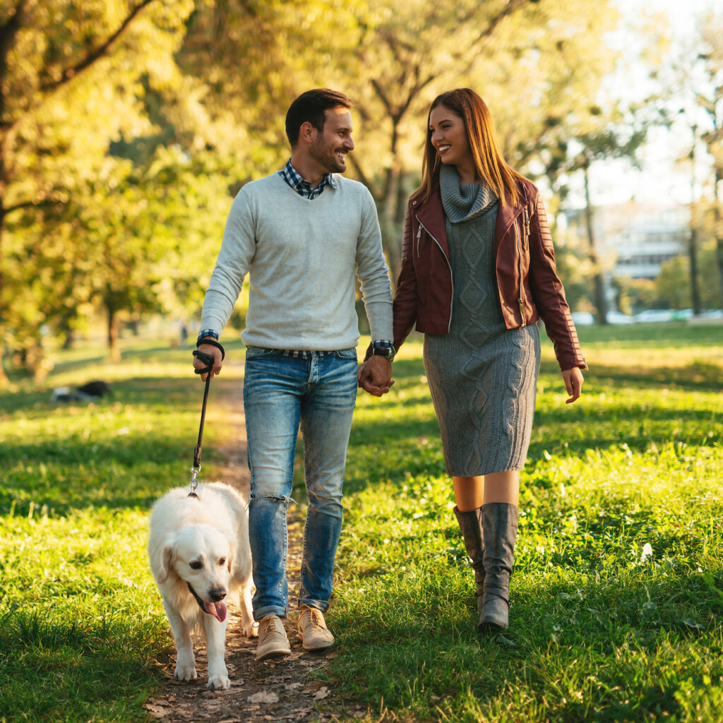 Couple,Walking,The,Dog,Together,In,The,Park.